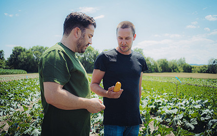 gurkerl.at setzt neue Maßstäbe in Sachen Erntefrische