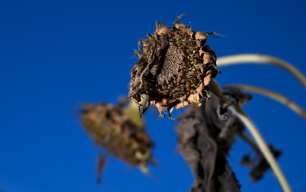 Klimakrise-Kodex für Redaktionen präsentiert