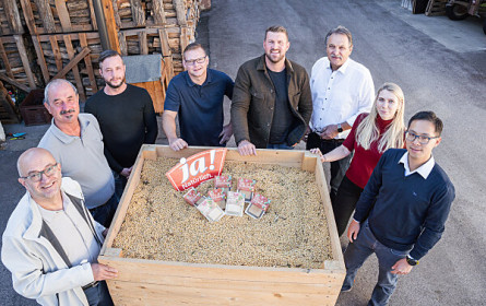 Bio-Tofu aus Wien? Ja! Natürlich