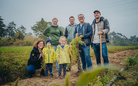 Stadtkinder erleben Karotten
