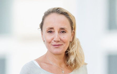 Verstärkung für Momentum Wien