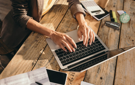 EcoAustria Kurzanalyse: Hohe BIP-Effekte empirisch belegt