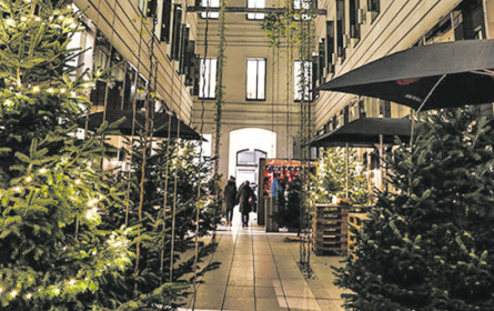 Wahl zur Media- Persönlichkeit