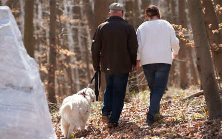 Verbunden über das Leben hinaus