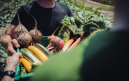Gurkerl.at feiert den "Green Friday"