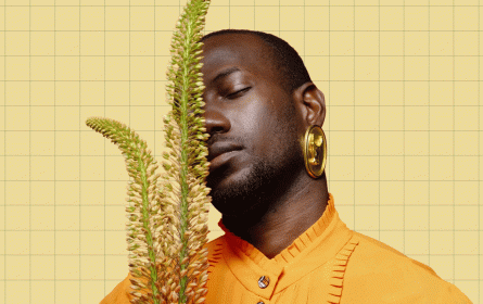 KTHE entwickelt Branding für Farm.Now Shared Impact Farming