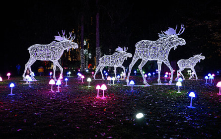 Lichterpark Lumagica erstmals in Wien