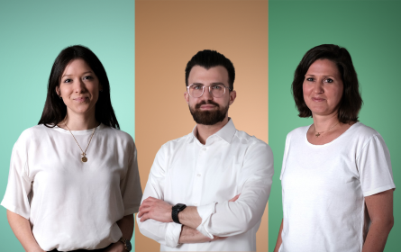 Last Minute Kampagnentipps fürs Feiertagsgeschäft