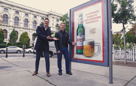 Citylight-Kampagne für Budweiser