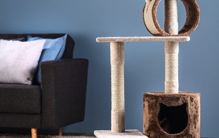 Bei Hofer dreht sich alles um Vierbeiner