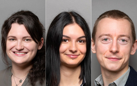 Drei neue Junior Consultants bei E&P