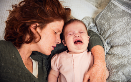 Milupa-Familienweltenstudie