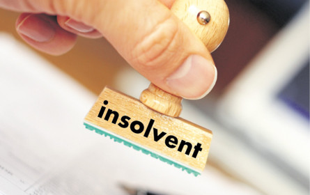 Pleiten nehmen wieder zu