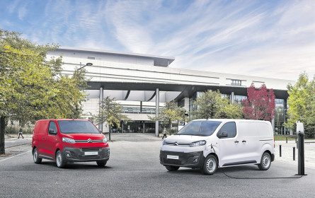 Marktführer bei „Nutzis”