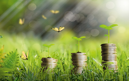 Investmentlösungen mit doppelt Nachhaltigkeit