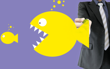 M&A – das große globale Fressen