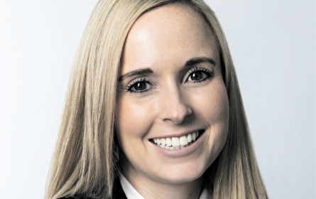 „Titanium” und seine Folgen