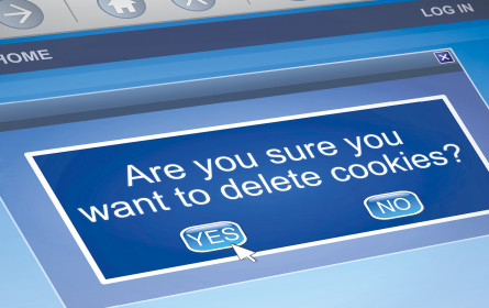 Privacy Sandbox für Android