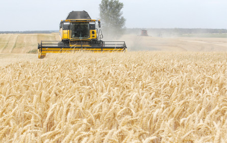 Folgen des Kriegs für die Industrie