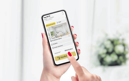 Online-Immo-Shopping