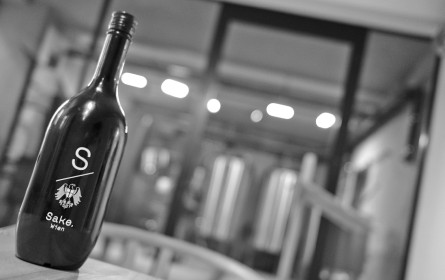 Vom Pop-Biz zu Juan Amador