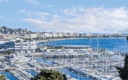 AB InBev erhält Special Award