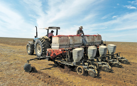 Anders essen gegen Sojaimport