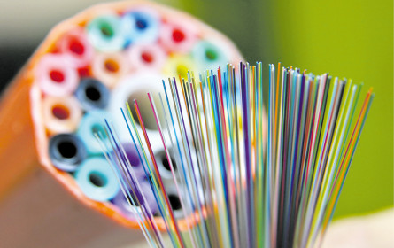 Auf Kosten der Daten