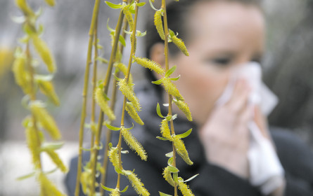 Pollensaison startet