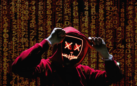 Cybercrime das Handwerk legen oder gar verhindern