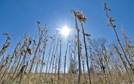 Die Geldanlage unter der Lupe