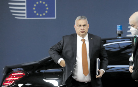 Klares Nein zur Preisdeckelung