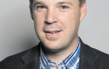 Stabile Werte für die „SN”