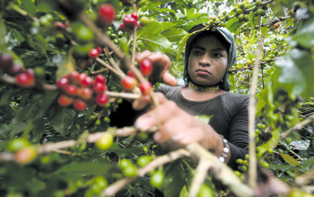 Glaubwürdigkeit zählt