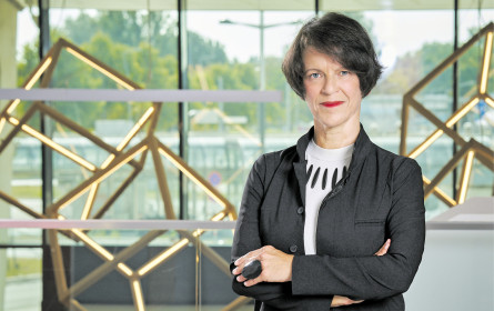 Optimismus ist Trumpf