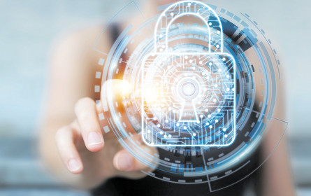 Cyberattacken nehmen rasant zu