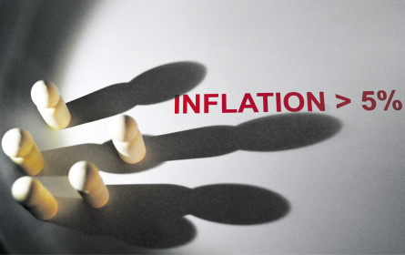 Über Wachstum im Schatten der Teuerung