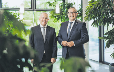 Grüne Mark, grüne Energie