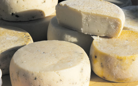 Grünes Licht für Molkerei-Fusion