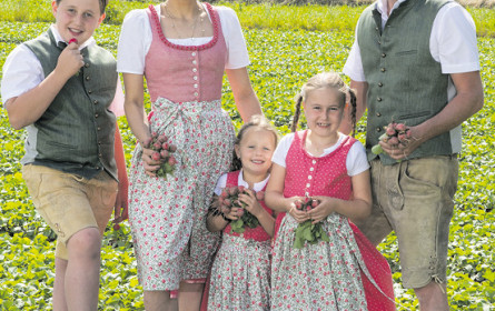 Gemüse vom Schotthof