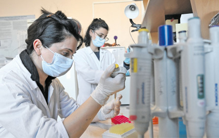 Krebs und Corona kurbeln die Forschung kräftig an