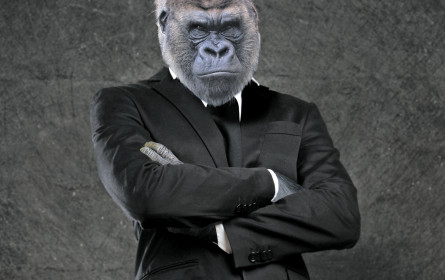 Wir sind immer noch dieselben Affen