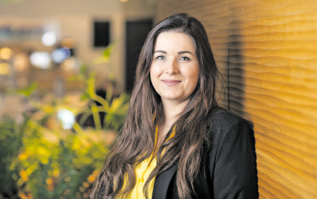 Sortimentsputz bei dm drogerie markt