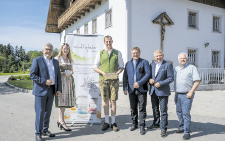 Regional punkten bei Billa in Salzburg