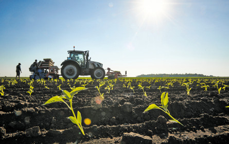 „Jedes Jahr ist eine Herausforderung”