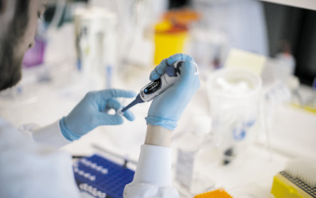 Kampf mit Regularien und Datenschutz