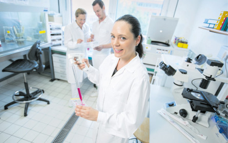 Positive Meldungen beflügeln Marinomed