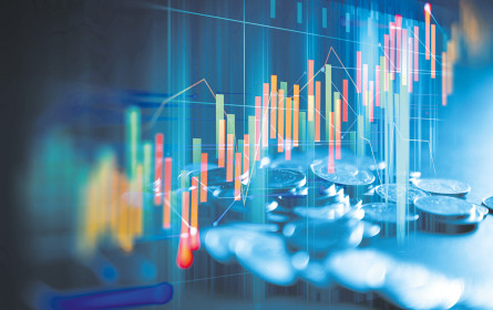 Investoren schätzen die heimische Wirtschaft