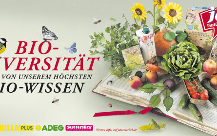 Lerneffekt inklusive