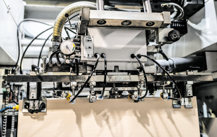 Signifikantes Wachstum